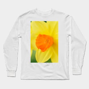 Narcissus  &#39;Red Devon&#39;  Division 2 Large-cupped   Daffodil Long Sleeve T-Shirt